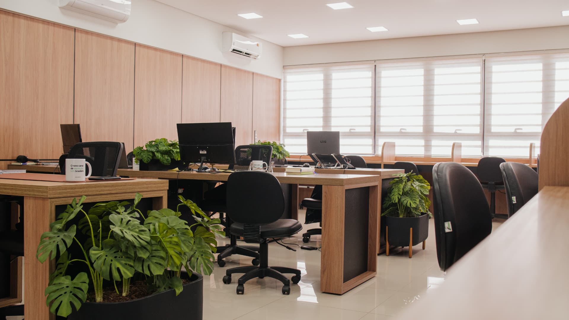 Open space da 3P com estações de trabalho e plantas